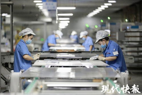 高質(zhì)量發(fā)展調(diào)研行 逐 光 前行,宿遷光伏產(chǎn)業(yè)再進(jìn)階