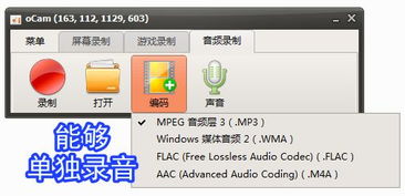 錄屏小將 ocam 全能錄屏、截圖與錄音的得力助手